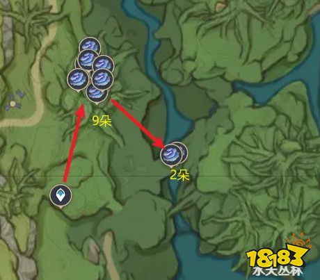 《原神》须弥素材攻略：轻松获取树王圣体菇秘籍分享