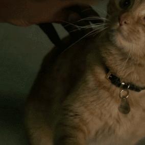 《DOTA2》7.32更新：兽加入队长模式，全新竞技体验来袭