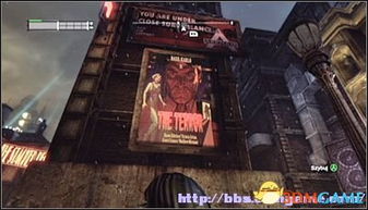 春庭解谜攻略，宝箱收集技巧大揭秘！