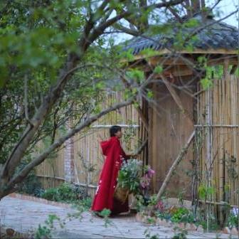 春庭如旧V2.8海岛活动攻略：春日海岛全收集秘籍大揭秘