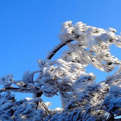 《原神》2.8版烟山雾阁谜题攻略：解锁神秘解谜新技巧