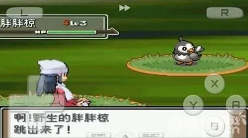 口袋妖怪起源金心攻略,蛇纹熊的拾荒技能妙用多 口袋妖怪起源金心攻略,蛇纹熊的拾荒技能妙用多