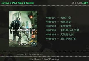 孤岛危机2修改器1.9（具体的操作步骤是什么）