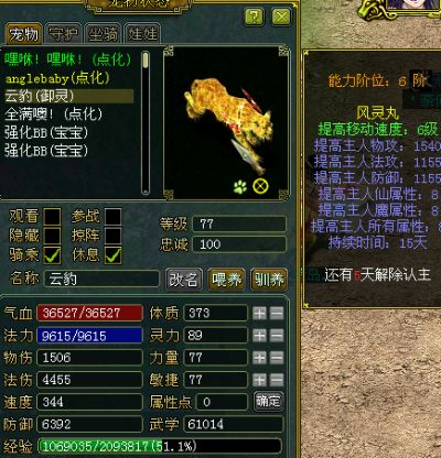 问道黑豹子,最方便的是哪种？