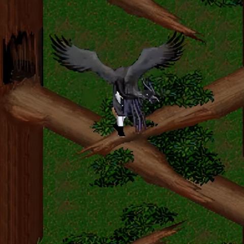 仙剑奇侠传4迷宫地图详细攻略，附带宝箱位置和怪物打法！