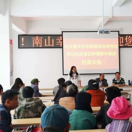 《双点校园》快速致富攻略：独家赚钱技巧揭秘！