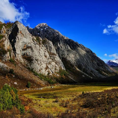 《异度之刃3》嘉登西亚深度探险指南，解锁隐藏秘境新玩法