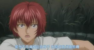 揭秘立海大!网球王子中的传奇学校魅力解析 揭秘立海大!网球王子中的传奇学校魅力解析