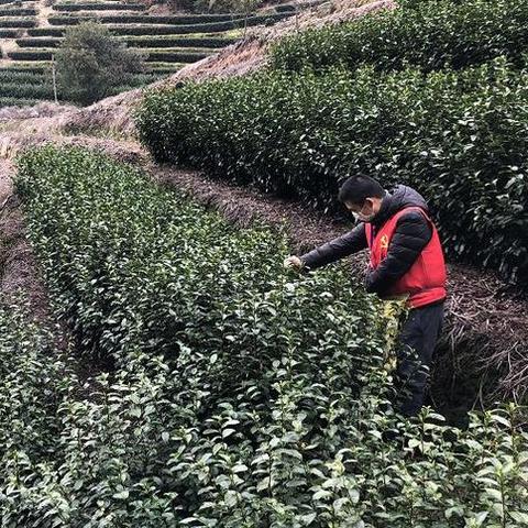 探寻 100 个免费实名认证游戏的精彩世界