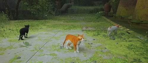 《流浪》猫咪MOD使用攻略：轻松打造个性化萌猫造型
