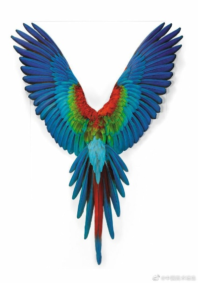 美味鸟翅膀,最简单的方法在这里? 美味鸟翅膀,最简单的方法在这里?