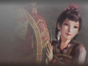 无双大蛇z女忍,怎么才能最大限度地利用它