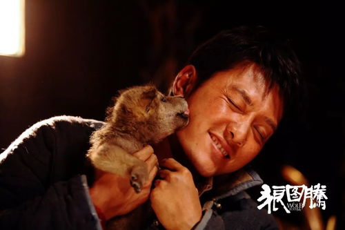 《羊蹄山之谜》揭秘:女主复仇传奇,家族悲剧真相大曝光! 《羊蹄山之谜》揭秘:女主复仇传奇,家族悲剧真相大曝光!