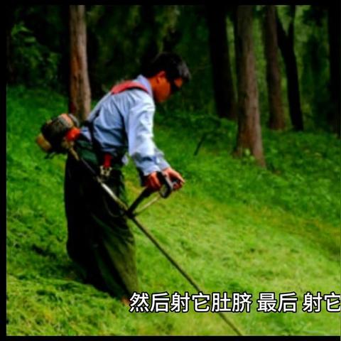 三界奇闻网,还是自欺欺人？