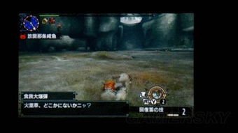 《怪物猎人X》猫猎人攻略:深度解析猫探险队系统与独家技巧揭秘 《怪物猎人X》猫猎人攻略:深度解析猫探险队系统与独家技巧揭秘