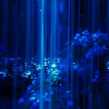 美女餐厅下载:经营你的梦幻餐厅,邂逅美丽女孩! 美女餐厅下载:经营你的梦幻餐厅,邂逅美丽女孩!