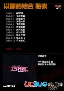 《以撒的结合胎衣》道具图鉴解析：全面攻略，深度解析必备秘籍