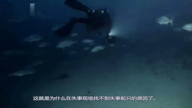 《死在百慕大》试玩体验：揭秘角色玩法，探索神秘百慕大之谜！