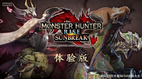 《怪物猎人崛起》曙光大锤攻略：深度解析，掌握最强武器技巧