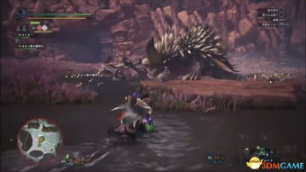 银爵龙轻弩完美配装攻略，助你狩猎巅峰！