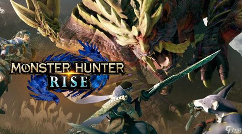 《怪物猎人崛起》曙光DLC平民大剑开荒攻略，高效配装技巧解析！