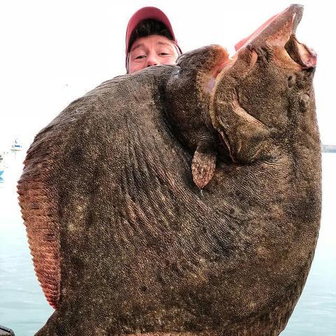 单机版捕鱼达人无限金币版，虚拟海洋的奇幻之旅