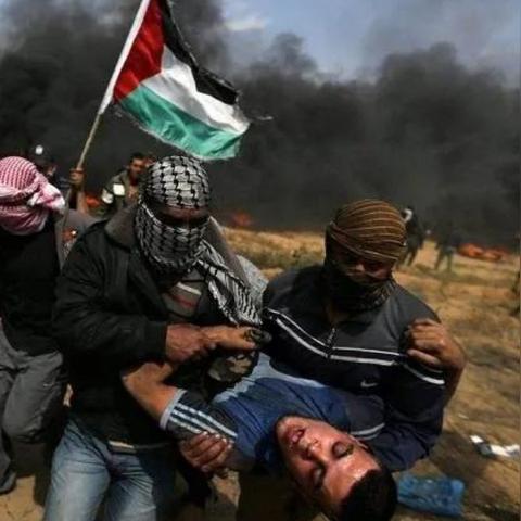 《怪物猎人崛起》曙光DLC盟友盘点：揭秘五大强力伙伴独特技能