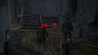 《神秘海域4》宝藏攻略揭秘：完整日志+支线对话深度解析