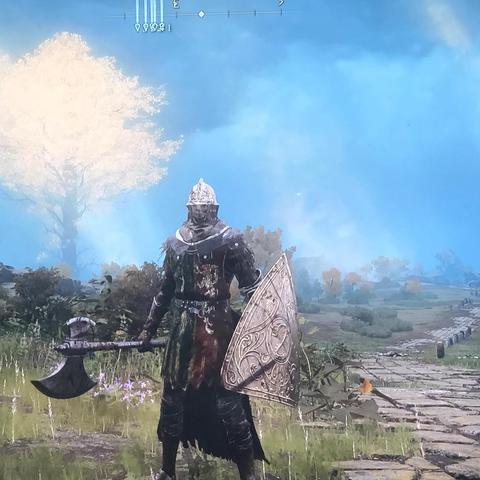 《艾尔登法环》寻宝攻略:揭秘大朵灵依墓地铃兰获取技巧 《艾尔登法环》寻宝攻略:揭秘大朵灵依墓地铃兰获取技巧