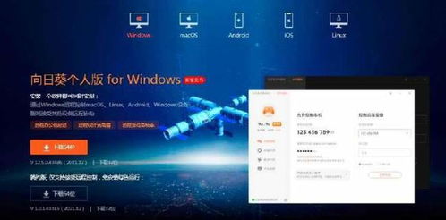 《艾尔登法环》速刷全材料攻略：高效获取秘境资源指南