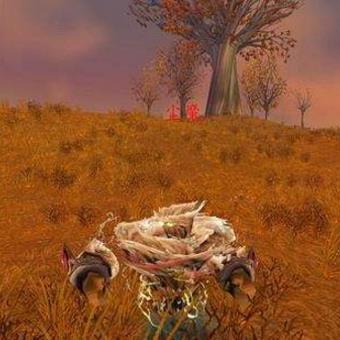 wow黑暗之尘,到底有什么用？