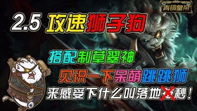 探寻狮子狗皮肤，哪个手感最好？