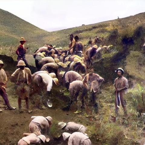 《侵略行为》兵种建筑解析：揭秘各阵营独特建筑策略与优势