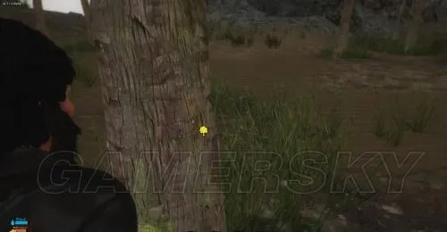 《逆境求生》画面解析+合成系统体验:深度试玩,探索生存乐趣! 《逆境求生》画面解析+合成系统体验:深度试玩,探索生存乐趣!