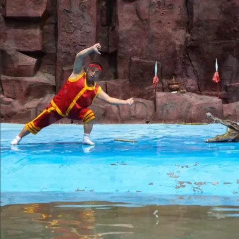 qq飞车手游体验服申请,官网部落有什么途径