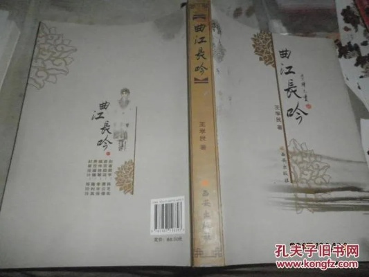 岐山传2.0,一个王加民读什么