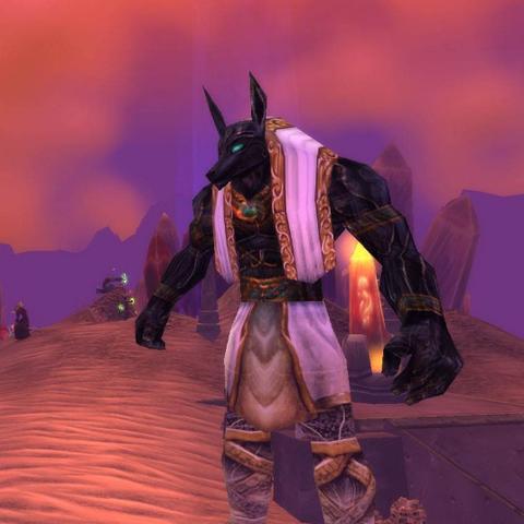 魔兽世界服务端（可以卖我的装备吗）