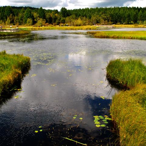 《怪物猎人崛起》曙光DLC密林寻宝攻略：揭秘古老手记前人遗物位置