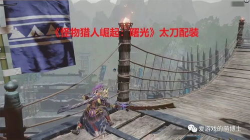 《怪物猎人崛起》曙光太刀攻略：掌握曙光太刀技巧，轻松猎杀巨兽！