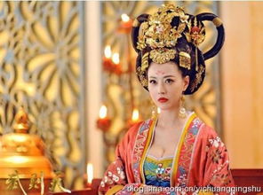 武媚娘传奇下载（有哪些资源推荐）