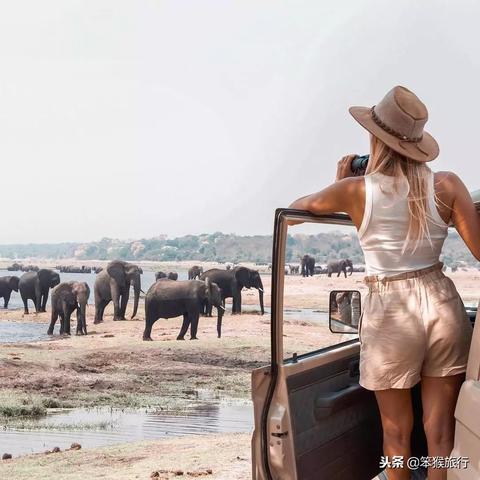 《风来之国》全收集攻略：解锁隐藏秘境，尽享完美旅程