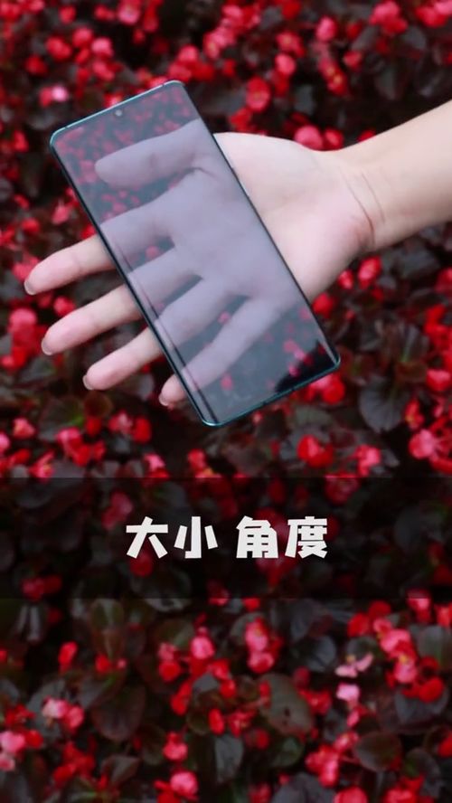 怎样弄qq全透明皮肤最简单？看这篇小白也能学会！