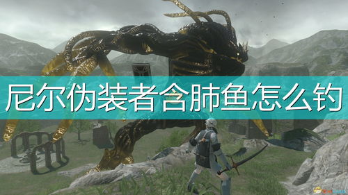 《尼尔伪装者》钓鱼攻略：揭秘鱼类分布与高效鱼饵选择