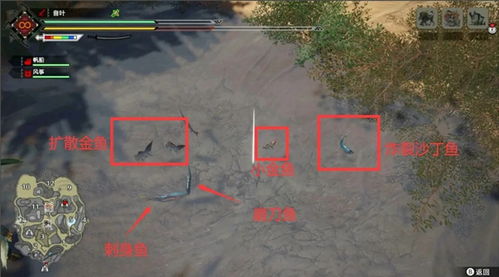 《怪物猎人崛起》全鱼类攻略：钓鱼圣地揭秘，勋章轻松到手！