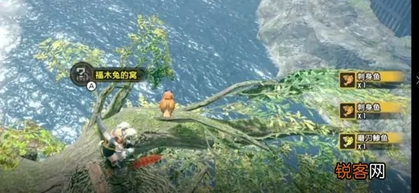 《怪物猎人崛起》开荒必备！掌握这些技巧轻松升级