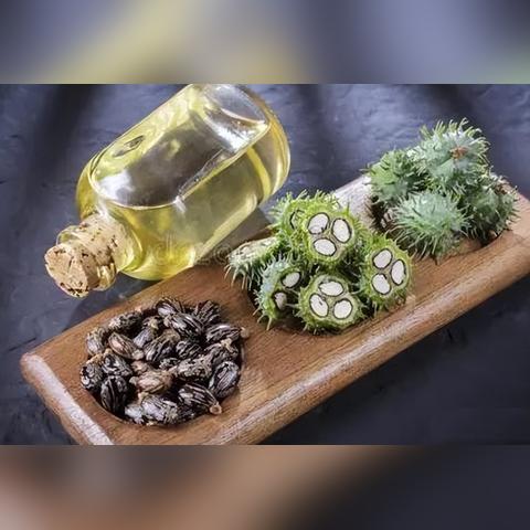 核糖体的结构解析：RNA和蛋白质的完美协作