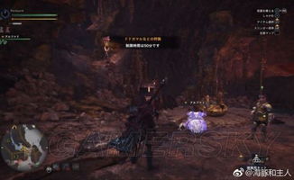 《怪物猎人世界》大小金高效测量技巧：步数法深度解析攻略