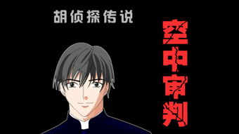 胡侦探14