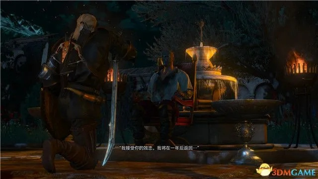 巫师3全剧情攻略深度解析：图文攻略必备，解锁隐藏任务秘籍