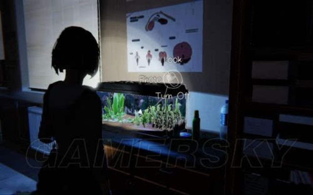 《奇异人生》第三章攻略：深度解析全流程，揭秘隐藏剧情！